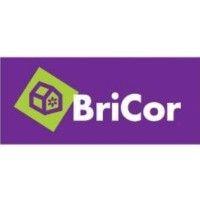 bricor, sa logo image