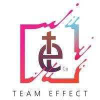 team effect co. logo image