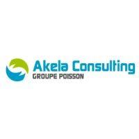 akela consulting