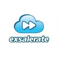 exsalerate logo image