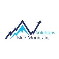 blue mountain solutions logo image