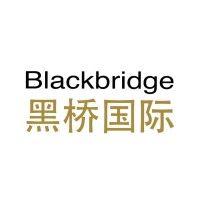 blackbridge sports llc logo image