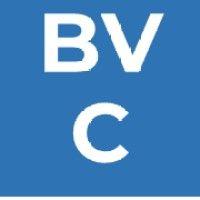 briarvista consulting logo image