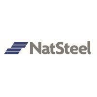 natsteel holdings pte ltd logo image