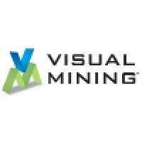 visual mining logo image