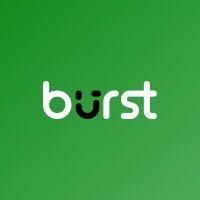 burst statistics logo image