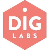 dig labs logo image