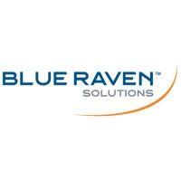 blue raven solutions logo image