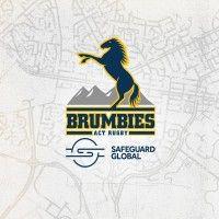 act brumbies logo image