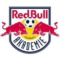 red bull fußball akademie logo image