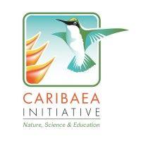 caribaea initiative logo image