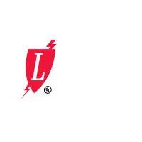 lowitt alarms & security systems, inc. logo image