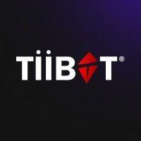 ti̇i̇böt logo image