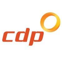 cdp group logo image