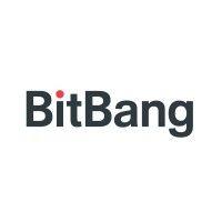 bitbang logo image