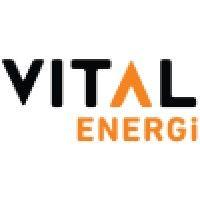 vital energi utilities limited logo image