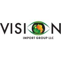 vision import group logo image