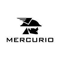 mercurio conveyor belt logo image