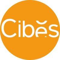 cibes lift india logo image