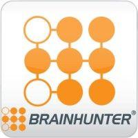 brainhunter systems ltd logo image