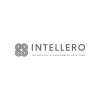 intellero technology & management solutions pvt ltd logo image