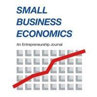 small business economics: an entrepreneurship journal logo image