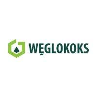 węglokoks s.a. logo image