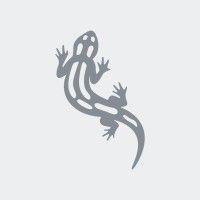 salamander mywindow logo image