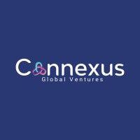 connexus global®️ventures logo image