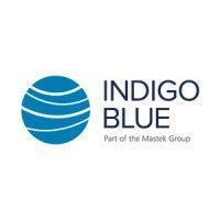 indigoblue logo image