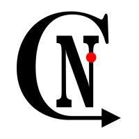 nichols consulting logo image