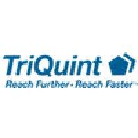 triquint semiconductor (now qorvo, inc.) logo image