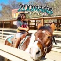 zoomars petting zoo