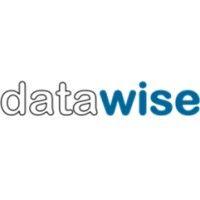 datawise consulting pty ltd logo image