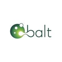 balt usa logo image