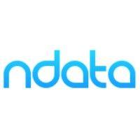 ndata, inc. logo image