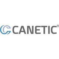 canetic advisors logo image