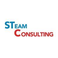 s team consulting logo image