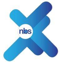 netrix business systems logo image