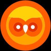 wowl.io logo image