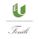 logo of Eu Design Fenili Group