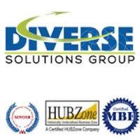 diverse solutions group, inc. logo image