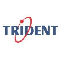 trident information systems logo image