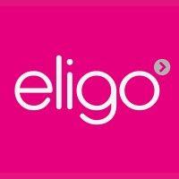 eligo recruitment logo image