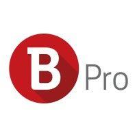 b-pro ltd. logo image