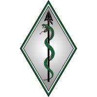 diamond spear tactical, inc. logo image