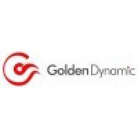 golden dynamic logo image