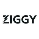 logo of Ziggy Revenue First Demand Gen Agency