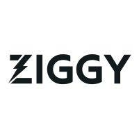 ziggy | revenue-first demand gen agency logo image