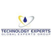 technology experts company logo image